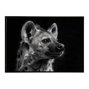 Hyena �n�C�G�i �q�q �T�o���i �A�t���J ���� ���R �l�C�`���[ ���� �A�j�}�� �쐶���� �ʐ^ �� �R���[�e�|�X�^�[ �C���e���A ������� �v�����g�|�X�^�[ �t�H�g �V���v�� ������ ���� �傫��/l
