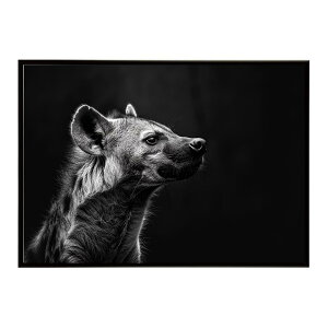 Hyena �n�C�G�i �q�q �T�o���i �A�t���J ���� ���R �l�C�`���[ ���� �A�j�}�� �쐶���� �ʐ^ �� �R���[�e�|�X�^�[ �C���e���A ������� �v�����g�|�X�^�[ �t�H�g �V���v�� ������ ���� �傫��/l