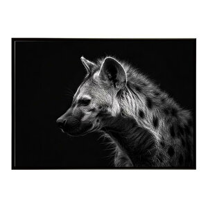 Hyena �n�C�G�i �q�q �T�o���i �A�t���J ���� ���R �l�C�`���[ ���� �A�j�}�� �쐶���� �ʐ^ �� �R���[�e�|�X�^�[ �C���e���A ������� �v�����g�|�X�^�[ �t�H�g �V���v�� ������ ���� �傫��/l
