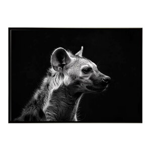 Hyena �n�C�G�i �q�q �T�o���i �A�t���J ���� ���R �l�C�`���[ ���� �A�j�}�� �쐶���� �ʐ^ �� �R���[�e�|�X�^�[ �C���e���A ������� �v�����g�|�X�^�[ �t�H�g �V���v�� ������ ���� �傫��/l