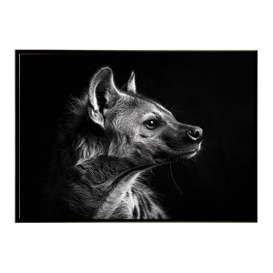 Hyena �n�C�G�i �q�q �T�o���i �A�t���J ���� ���R �l�C�`���[ ���� �A�j�}�� �쐶���� �ʐ^ �� �R���[�e�|�X�^�[ �C���e���A ������� �v�����g�|�X�^�[ �t�H�g �V���v�� ������ ���� �傫��/l