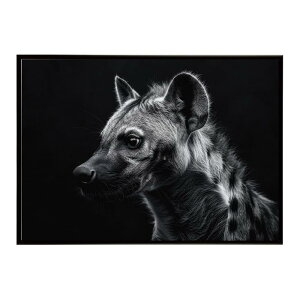 Hyena �n�C�G�i �q�q �T�o���i �A�t���J ���� ���R �l�C�`���[ ���� �A�j�}�� �쐶���� �ʐ^ �� �R���[�e�|�X�^�[ �C���e���A ������� �v�����g�|�X�^�[ �t�H�g �V���v�� ������ ���� �傫��/l