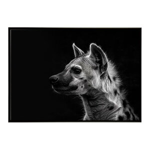 Hyena �n�C�G�i �q�q �T�o���i �A�t���J ���� ���R �l�C�`���[ ���� �A�j�}�� �쐶���� �ʐ^ �� �R���[�e�|�X�^�[ �C���e���A ������� �v�����g�|�X�^�[ �t�H�g �V���v�� ������ ���� �傫��/l