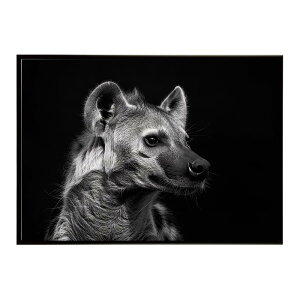 Hyena �n�C�G�i �q�q �T�o���i �A�t���J ���� ���R �l�C�`���[ ���� �A�j�}�� �쐶���� �ʐ^ �� �R���[�e�|�X�^�[ �C���e���A ������� �v�����g�|�X�^�[ �t�H�g �V���v�� ������ ���� �傫��/l