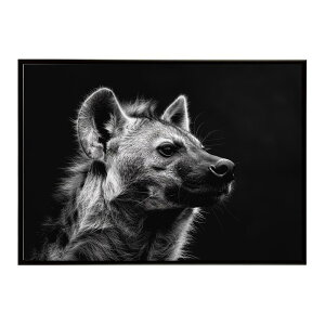 Hyena �n�C�G�i �q�q �T�o���i �A�t���J ���� ���R �l�C�`���[ ���� �A�j�}�� �쐶���� �ʐ^ �� �R���[�e�|�X�^�[ �C���e���A ������� �v�����g�|�X�^�[ �t�H�g �V���v�� ������ ���� �傫��/l