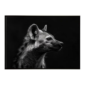 Hyena �n�C�G�i �q�q �T�o���i �A�t���J ���� ���R �l�C�`���[ ���� �A�j�}�� �쐶���� �ʐ^ �� �R���[�e�|�X�^�[ �C���e���A ������� �v�����g�|�X�^�[ �t�H�g �V���v�� ������ ���� �傫��/l