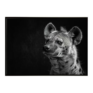 Hyena �n�C�G�i �q�q �T�o���i �A�t���J ���� ���R �l�C�`���[ ���� �A�j�}�� �쐶���� �ʐ^ �� �R���[�e�|�X�^�[ �C���e���A ������� �v�����g�|�X�^�[ �t�H�g �V���v�� ������ ���� �傫��/l