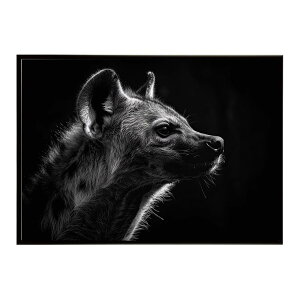 Hyena nCGi qq Toi AtJ  R lC`[  Aj} 쐶 ʐ^  R[e|X^[ CeA  vg|X^[ tHg Vv   傫/l