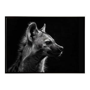 Hyena �n�C�G�i �q�q �T�o���i �A�t���J ���� ���R �l�C�`���[ ���� �A�j�}�� �쐶���� �ʐ^ �� �R���[�e�|�X�^�[ �C���e���A ������� �v�����g�|�X�^�[ �t�H�g �V���v�� ������ ���� �傫��/l