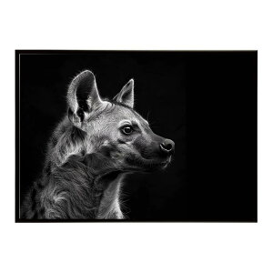 Hyena �n�C�G�i �q�q �T�o���i �A�t���J ���� ���R �l�C�`���[ ���� �A�j�}�� �쐶���� �ʐ^ �� �R���[�e�|�X�^�[ �C���e���A ������� �v�����g�|�X�^�[ �t�H�g �V���v�� ������ ���� �傫��/l