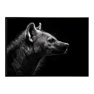 Hyena �n�C�G�i �q�q �T�o���i �A�t���J ���� ���R �l�C�`���[ ���� �A�j�}�� �쐶���� �ʐ^ �� �R���[�e�|�X�^�[ �C���e���A ������� �v�����g�|�X�^�[ �t�H�g �V���v�� ������ ���� �傫��/l