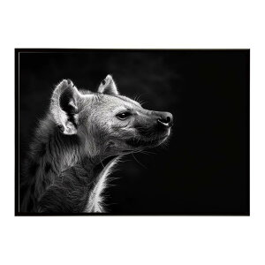 Hyena �n�C�G�i �q�q �T�o���i �A�t���J ���� ���R �l�C�`���[ ���� �A�j�}�� �쐶���� �ʐ^ �� �R���[�e�|�X�^�[ �C���e���A ������� �v�����g�|�X�^�[ �t�H�g �V���v�� ������ ���� �傫��/l
