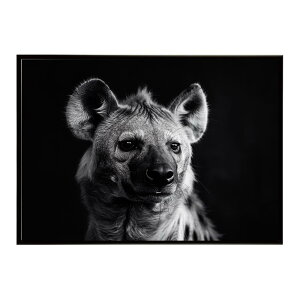 Hyena �n�C�G�i �q�q �T�o���i �A�t���J ���� ���R �l�C�`���[ ���� �A�j�}�� �쐶���� �ʐ^ �� �R���[�e�|�X�^�[ �C���e���A ������� �v�����g�|�X�^�[ �t�H�g �V���v�� ������ ���� �傫��/l