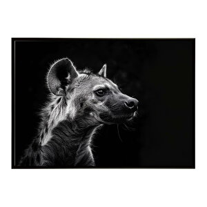 Hyena �n�C�G�i �q�q �T�o���i �A�t���J ���� ���R �l�C�`���[ ���� �A�j�}�� �쐶���� �ʐ^ �� �R���[�e�|�X�^�[ �C���e���A ������� �v�����g�|�X�^�[ �t�H�g �V���v�� ������ ���� �傫��/l