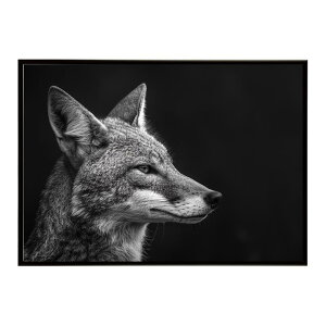 Jackal �W���b�J�� �T�o���i �A�t���J ���� ���R �l�C�`���[ ���� �A�j�}�� �쐶���� �ʐ^ �� �R���[�e�|�X�^�[ �C���e���A ������� �v�����g�|�X�^�[ �t�H�g �V���v�� ������ ���� �傫��/lh-p