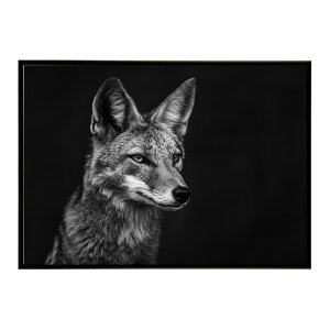 Jackal �W���b�J�� �T�o���i �A�t���J ���� ���R �l�C�`���[ ���� �A�j�}�� �쐶���� �ʐ^ �� �R���[�e�|�X�^�[ �C���e���A ������� �v�����g�|�X�^�[ �t�H�g �V���v�� ������ ���� �傫��/lh-p