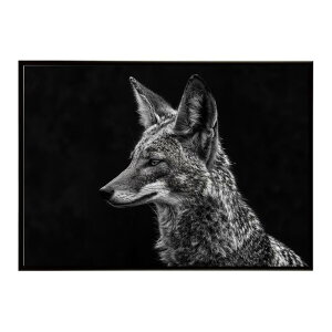 Jackal �W���b�J�� �T�o���i �A�t���J ���� ���R �l�C�`���[ ���� �A�j�}�� �쐶���� �ʐ^ �� �R���[�e�|�X�^�[ �C���e���A ������� �v�����g�|�X�^�[ �t�H�g �V���v�� ������ ���� �傫��/lh-p