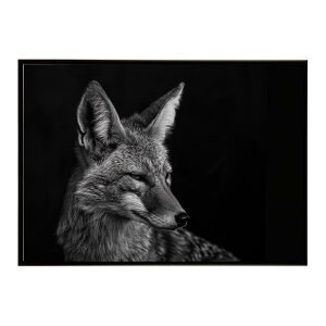 Jackal �W���b�J�� �T�o���i �A�t���J ���� ���R �l�C�`���[ ���� �A�j�}�� �쐶���� �ʐ^ �� �R���[�e�|�X�^�[ �C���e���A ������� �v�����g�|�X�^�[ �t�H�g �V���v�� ������ ���� �傫��/lh-p
