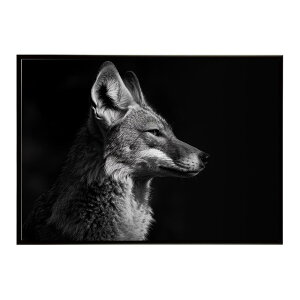 Jackal �W���b�J�� �T�o���i �A�t���J ���� ���R �l�C�`���[ ���� �A�j�}�� �쐶���� �ʐ^ �� �R���[�e�|�X�^�[ �C���e���A ������� �v�����g�|�X�^�[ �t�H�g �V���v�� ������ ���� �傫��/lh-p