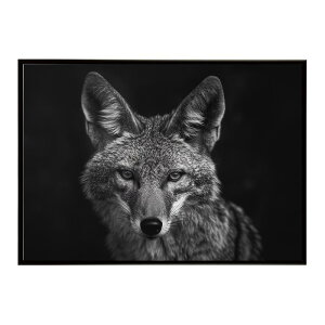 Jackal �W���b�J�� �T�o���i �A�t���J ���� ���R �l�C�`���[ ���� �A�j�}�� �쐶���� �ʐ^ �� �R���[�e�|�X�^�[ �C���e���A ������� �v�����g�|�X�^�[ �t�H�g �V���v�� ������ ���� �傫��/lh-p