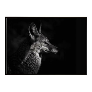 Jackal �W���b�J�� �T�o���i �A�t���J ���� ���R �l�C�`���[ ���� �A�j�}�� �쐶���� �ʐ^ �� �R���[�e�|�X�^�[ �C���e���A ������� �v�����g�|�X�^�[ �t�H�g �V���v�� ������ ���� �傫��/lh-p