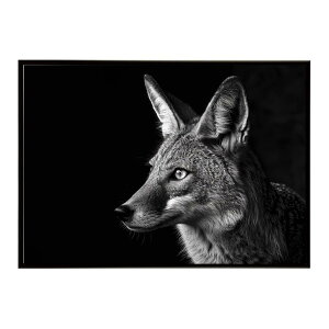 Jackal �W���b�J�� �T�o���i �A�t���J ���� ���R �l�C�`���[ ���� �A�j�}�� �쐶���� �ʐ^ �� �R���[�e�|�X�^�[ �C���e���A ������� �v�����g�|�X�^�[ �t�H�g �V���v�� ������ ���� �傫��/lh-p
