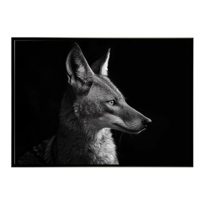 Jackal �W���b�J�� �T�o���i �A�t���J ���� ���R �l�C�`���[ ���� �A�j�}�� �쐶���� �ʐ^ �� �R���[�e�|�X�^�[ �C���e���A ������� �v�����g�|�X�^�[ �t�H�g �V���v�� ������ ���� �傫��/lh-p