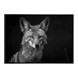 Jackal �W���b�J�� �T�o���i �A�t���J ���� ���R �l�C�`���[ ���� �A�j�}�� �쐶���� �ʐ^ �� �R���[�e�|�X�^�[ �C���e���A ������� �v�����g�|�X�^�[ �t�H�g �V���v�� ������ ���� �傫��/lh-p