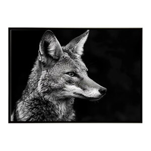 Jackal �W���b�J�� �T�o���i �A�t���J ���� ���R �l�C�`���[ ���� �A�j�}�� �쐶���� �ʐ^ �� �R���[�e�|�X�^�[ �C���e���A ������� �v�����g�|�X�^�[ �t�H�g �V���v�� ������ ���� �傫��/lh-p
