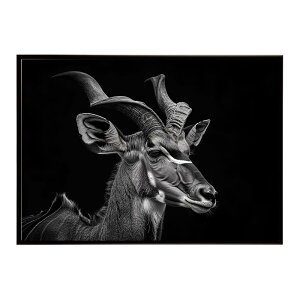 Kudu �N�[�Y �N�[�h �A���e���[�v �T�o���i �A�t���J ���� ���R �l�C�`���[ ���� �A�j�}�� �쐶���� �ʐ^ ���|�X�^�[ �C���e���A ������� �v�����g�|�X�^�[ �t�H�g �V���v�� ������ ���� �傫