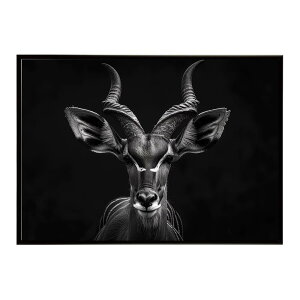 Kudu �N�[�Y �N�[�h �A���e���[�v �T�o���i �A�t���J ���� ���R �l�C�`���[ ���� �A�j�}�� �쐶���� �ʐ^ ���|�X�^�[ �C���e���A ������� �v�����g�|�X�^�[ �t�H�g �V���v�� ������ ���� �傫