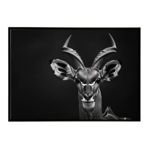Kudu �N�[�Y �N�[�h �A���e���[�v �T�o���i �A�t���J ���� ���R �l�C�`���[ ���� �A�j�}�� �쐶���� �ʐ^ ���|�X�^�[ �C���e���A ������� �v�����g�|�X�^�[ �t�H�g �V���v�� ������ ���� �傫