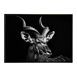 Kudu �N�[�Y �N�[�h �A���e���[�v �T�o���i �A�t���J ���� ���R �l�C�`���[ ���� �A�j�}�� �쐶���� �ʐ^ ���|�X�^�[ �C���e���A ������� �v�����g�|�X�^�[ �t�H�g �V���v�� ������ ���� �傫