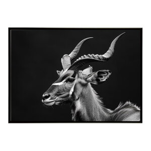 Kudu �N�[�Y �N�[�h �A���e���[�v �T�o���i �A�t���J ���� ���R �l�C�`���[ ���� �A�j�}�� �쐶���� �ʐ^ ���|�X�^�[ �C���e���A ������� �v�����g�|�X�^�[ �t�H�g �V���v�� ������ ���� �傫