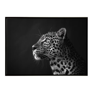 Leopard �q���E ���p�[�h �T�o���i �A�t���J ���� ���R �l�C�`���[ ���� �A�j�}�� �쐶���� �ʐ^ �L�|�X�^�[ �C���e���A ������� �v�����g�|�X�^�[ �t�H�g �V���v�� ������ ���� �傫��/lh-poster