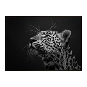 Leopard �q���E ���p�[�h �T�o���i �A�t���J ���� ���R �l�C�`���[ ���� �A�j�}�� �쐶���� �ʐ^ �L�|�X�^�[ �C���e���A ������� �v�����g�|�X�^�[ �t�H�g �V���v�� ������ ���� �傫��/lh-poster