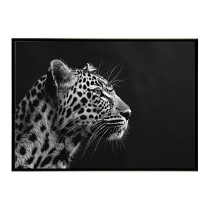 Leopard �q���E ���p�[�h �T�o���i �A�t���J ���� ���R �l�C�`���[ ���� �A�j�}�� �쐶���� �ʐ^ �L�|�X�^�[ �C���e���A ������� �v�����g�|�X�^�[ �t�H�g �V���v�� ������ ���� �傫��/lh-poster