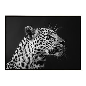 Leopard �q���E ���p�[�h �T�o���i �A�t���J ���� ���R �l�C�`���[ ���� �A�j�}�� �쐶���� �ʐ^ �L�|�X�^�[ �C���e���A ������� �v�����g�|�X�^�[ �t�H�g �V���v�� ������ ���� �傫��/lh-poster