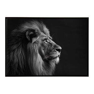 Lion ���C�I�� �T�o���i �A�t���J ���� ���R �l�C�`���[ ���� �A�j�}�� �쐶���� �ʐ^ �L�|�X�^�[ �C���e���A ������� �v�����g�|�X�^�[ �t�H�g �V���v�� ������ ���� �傫��/lh-poster-6756