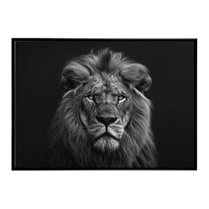 Lion ���C�I�� �T�o���i �A�t���J ���� ���R �l�C�`���[ ���� �A�j�}�� �쐶���� �ʐ^ �L�|�X�^�[ �C���e���A ������� �v�����g�|�X�^�[ �t�H�g �V���v�� ������ ���� �傫��/lh-poster-6757