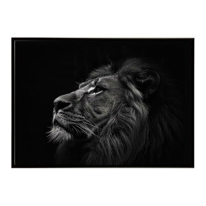 Lion ���C�I�� �T�o���i �A�t���J ���� ���R �l�C�`���[ ���� �A�j�}�� �쐶���� �ʐ^ �L�|�X�^�[ �C���e���A ������� �v�����g�|�X�^�[ �t�H�g �V���v�� ������ ���� �傫��/lh-poster-6759
