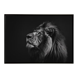 Lion ���C�I�� �T�o���i �A�t���J ���� ���R �l�C�`���[ ���� �A�j�}�� �쐶���� �ʐ^ �L�|�X�^�[ �C���e���A ������� �v�����g�|�X�^�[ �t�H�g �V���v�� ������ ���� �傫��/lh-poster-6760