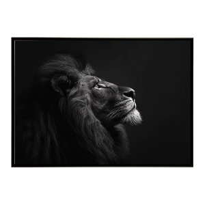 Lion ���C�I�� �T�o���i �A�t���J ���� ���R �l�C�`���[ ���� �A�j�}�� �쐶���� �ʐ^ �L�|�X�^�[ �C���e���A ������� �v�����g�|�X�^�[ �t�H�g �V���v�� ������ ���� �傫��/lh-poster-6762