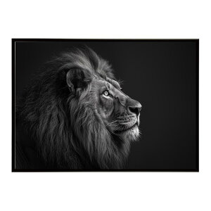 Lion ���C�I�� �T�o���i �A�t���J ���� ���R �l�C�`���[ ���� �A�j�}�� �쐶���� �ʐ^ �L�|�X�^�[ �C���e���A ������� �v�����g�|�X�^�[ �t�H�g �V���v�� ������ ���� �傫��/lh-poster-6763