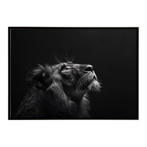 Lion ���C�I�� �T�o���i �A�t���J ���� ���R �l�C�`���[ ���� �A�j�}�� �쐶���� �ʐ^ �L�|�X�^�[ �C���e���A ������� �v�����g�|�X�^�[ �t�H�g �V���v�� ������ ���� �傫��/lh-poster-6765