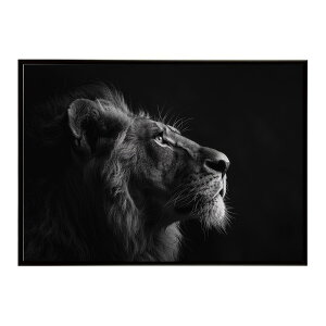 Lion ���C�I�� �T�o���i �A�t���J ���� ���R �l�C�`���[ ���� �A�j�}�� �쐶���� �ʐ^ �L�|�X�^�[ �C���e���A ������� �v�����g�|�X�^�[ �t�H�g �V���v�� ������ ���� �傫��/lh-poster-6766