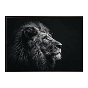 Lion ���C�I�� �T�o���i �A�t���J ���� ���R �l�C�`���[ ���� �A�j�}�� �쐶���� �ʐ^ �L�|�X�^�[ �C���e���A ������� �v�����g�|�X�^�[ �t�H�g �V���v�� ������ ���� �傫��/lh-poster-6769