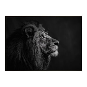 Lion ���C�I�� �T�o���i �A�t���J ���� ���R �l�C�`���[ ���� �A�j�}�� �쐶���� �ʐ^ �L�|�X�^�[ �C���e���A ������� �v�����g�|�X�^�[ �t�H�g �V���v�� ������ ���� �傫��/lh-poster-6771