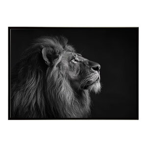 Lion ���C�I�� �T�o���i �A�t���J ���� ���R �l�C�`���[ ���� �A�j�}�� �쐶���� �ʐ^ �L�|�X�^�[ �C���e���A ������� �v�����g�|�X�^�[ �t�H�g �V���v�� ������ ���� �傫��/lh-poster-6772
