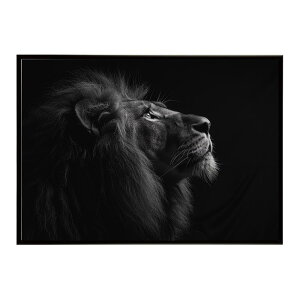 Lion ���C�I�� �T�o���i �A�t���J ���� ���R �l�C�`���[ ���� �A�j�}�� �쐶���� �ʐ^ �L�|�X�^�[ �C���e���A ������� �v�����g�|�X�^�[ �t�H�g �V���v�� ������ ���� �傫��/lh-poster-6773